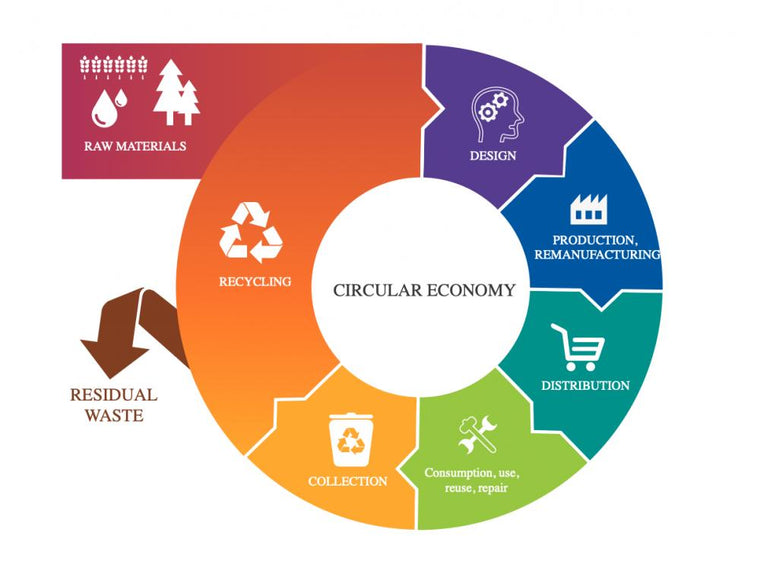 The Importance of Circular Economy - EcoWoodRings